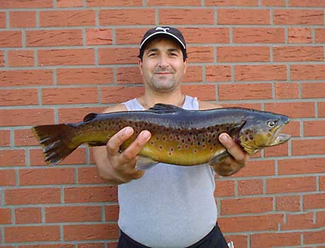 Fisch halten