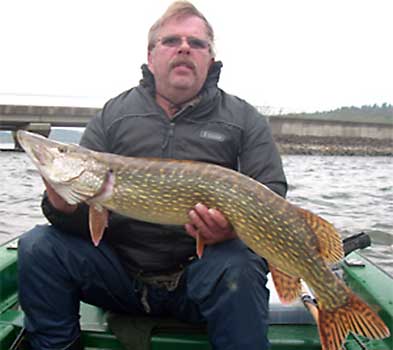 Fisch halten
