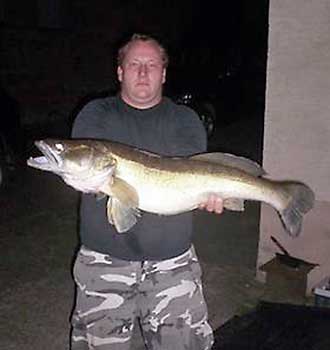 Fisch halten