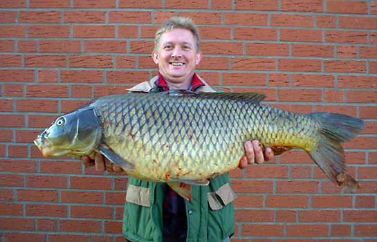 Fisch halten