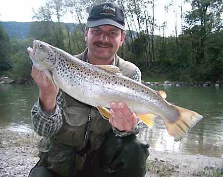Fisch halten