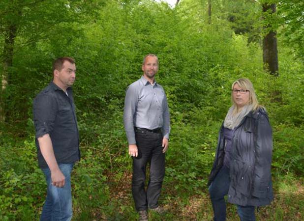 Im Wald