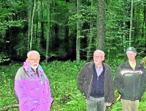 Im Wald